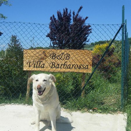 B&B Villa Barbarossa ペトリニャーノ エクステリア 写真