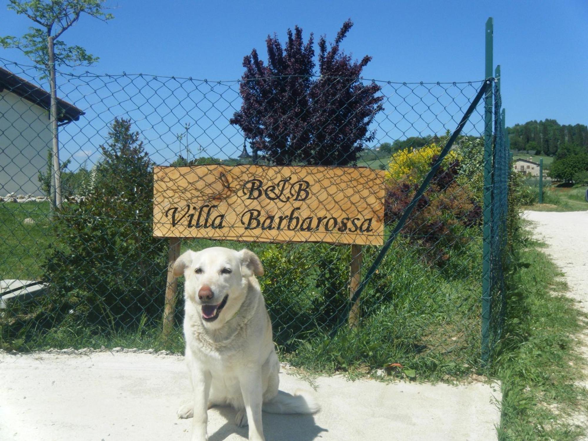 B&B Villa Barbarossa ペトリニャーノ エクステリア 写真